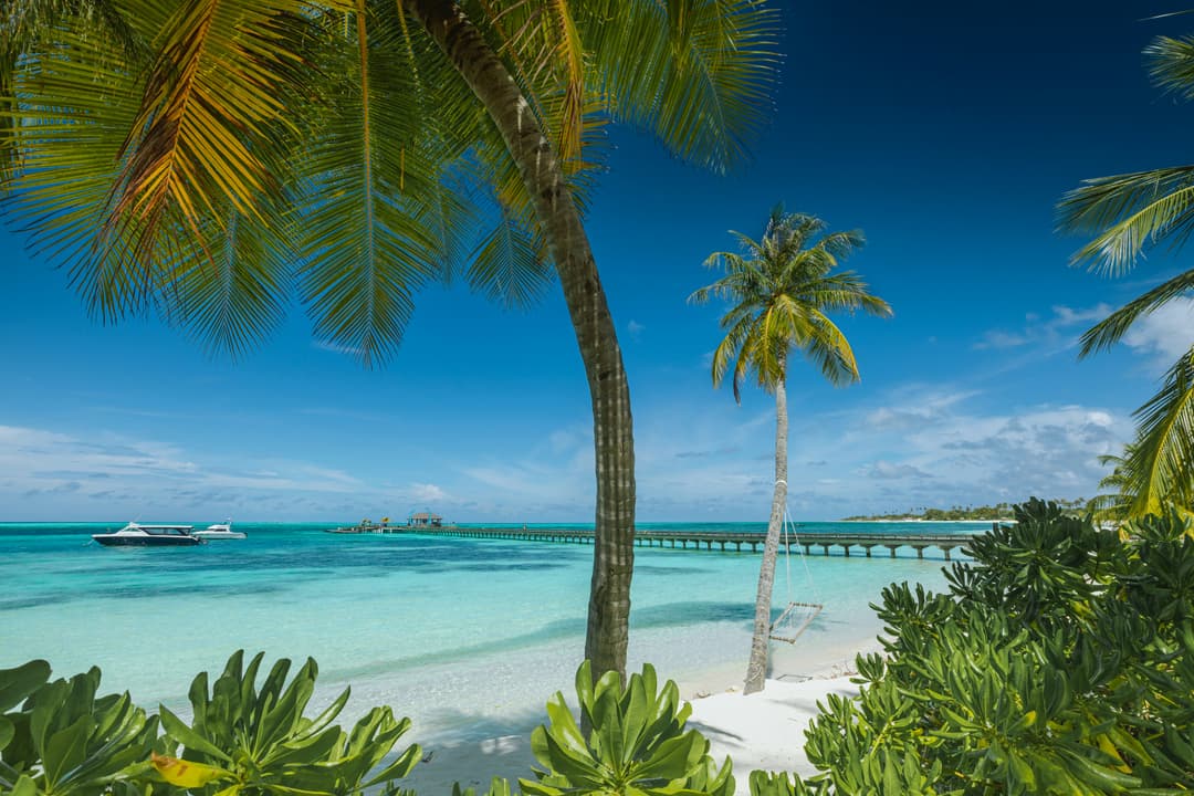 Pamtour lansează Super Early Booking 2026: Algarve – Portugalia și Tenerife – Spania, cu zboruri directe din București