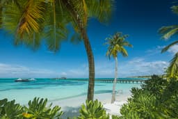 Pamtour lansează Super Early Booking 2026: Algarve – Portugalia și Tenerife – Spania, cu zboruri directe din București