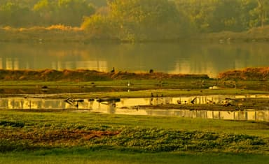 Tur de birdwatching la lunca Prutului
