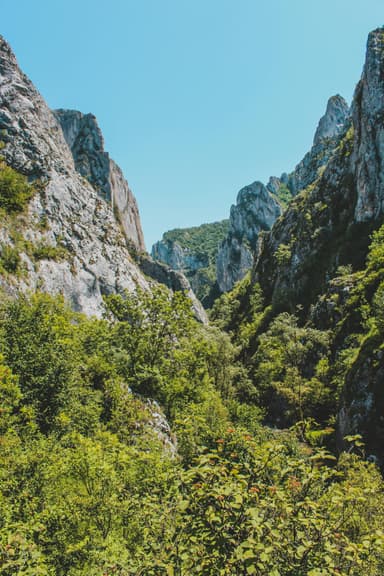 Descoperind frumusețea sălbatică a Munților Retezat