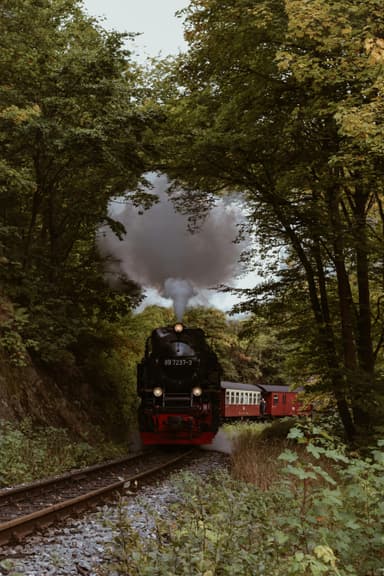 Tur cu trenul cu abur prin Moldova