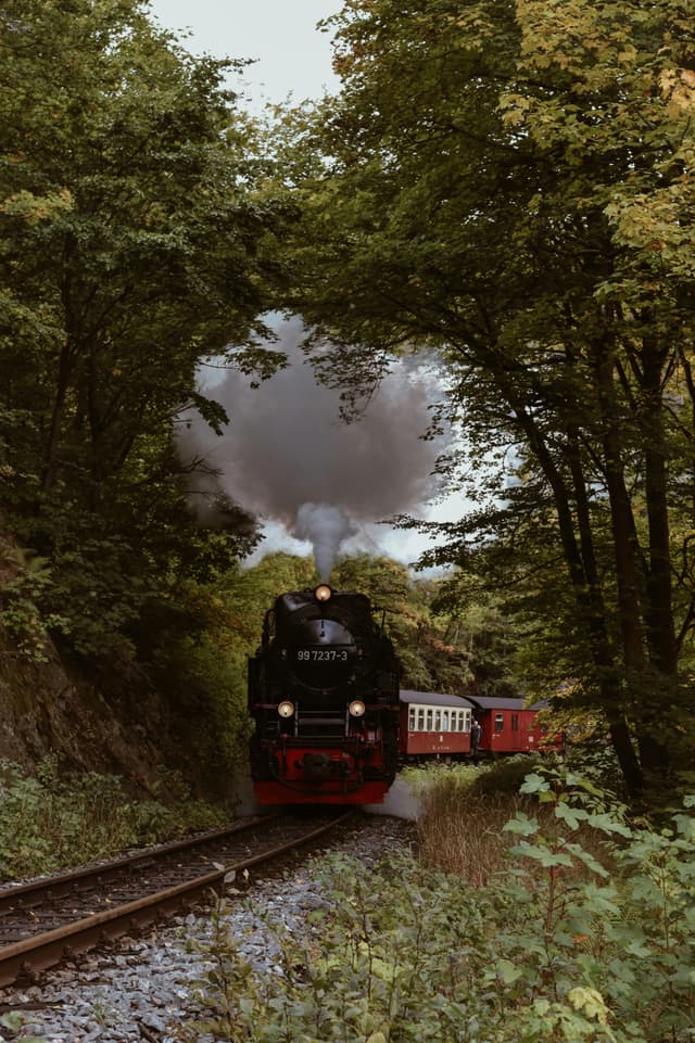 Tur cu trenul cu abur prin Moldova
