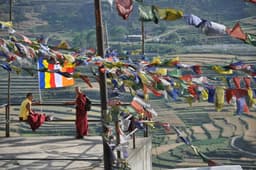 Călătorie în Bucovina pe urmele monahilor