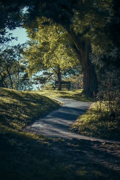Evadare în pădurile seculare din Ceahlău
