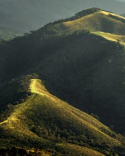 Descoperind frumusețea naturală a Munților Semenic