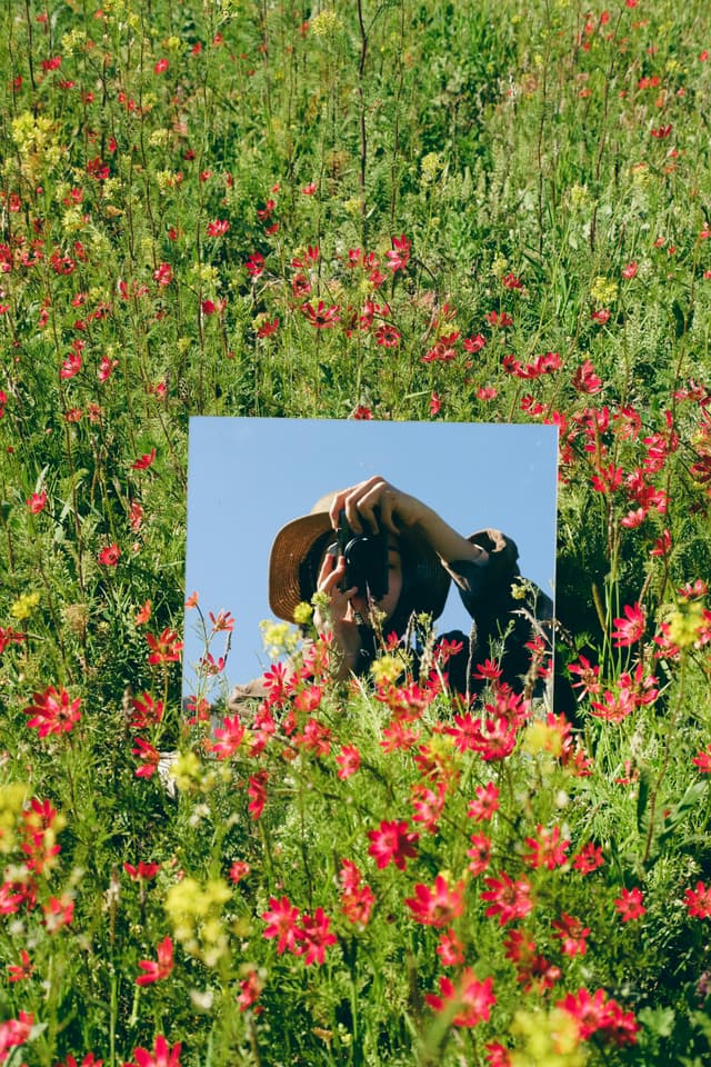 Ghid de fotografiere a florilor sălbatice primăvara