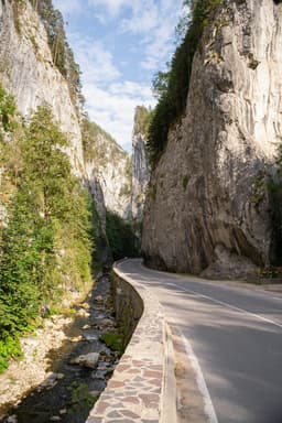 Călătorie prin Parcul Natural Defileul Jiului: natură și aventură