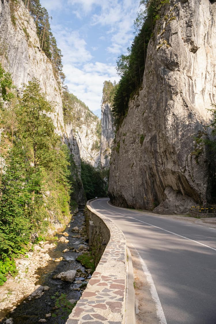 Călătorie prin Parcul Natural Defileul Jiului: natură și aventură