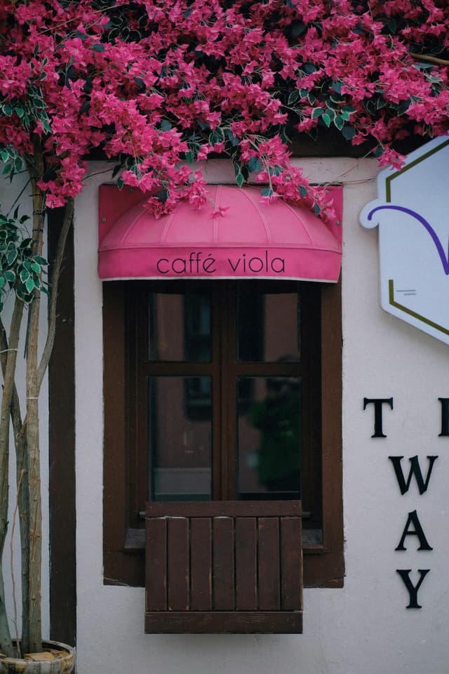 Cafenele de poveste în inima Iașiului