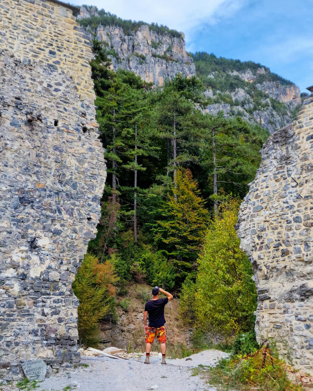 Explorând pădurile seculare ale Munților Făgăraș