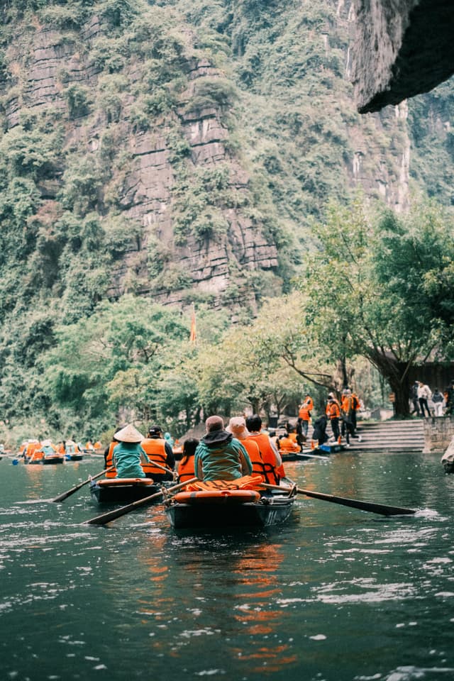 Excursie ghidată cu ghimbir și ceai la munte