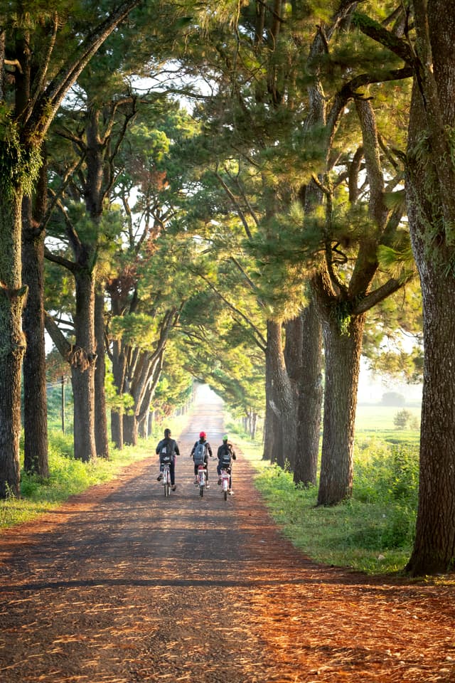 Călătorie cu bicicleta prin Delta Dunării
