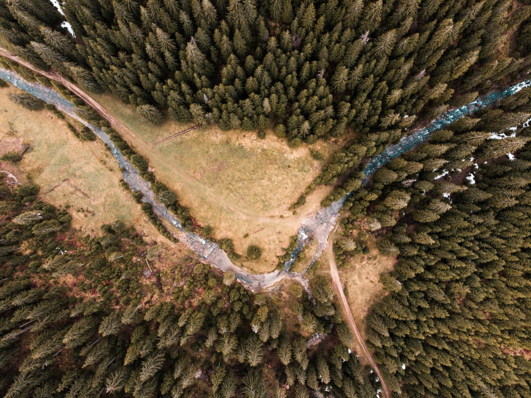 Descoperind frumusețea sălbatică a Munților Bihor