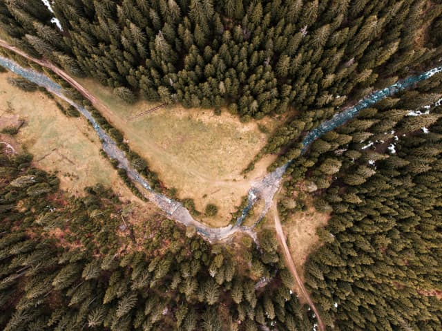 Descoperind frumusețea sălbatică a Munților Bihor
