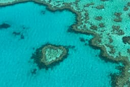La bariera de corali: snorkeling și peisaje subacvatice de poveste