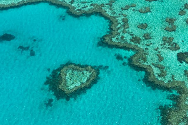 La bariera de corali: snorkeling și peisaje subacvatice de poveste