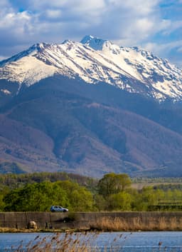 Radăritorii naturale subapreciate ale României