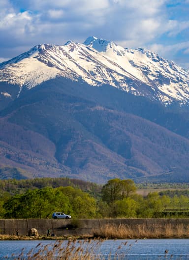 Radăritorii naturale subapreciate ale României
