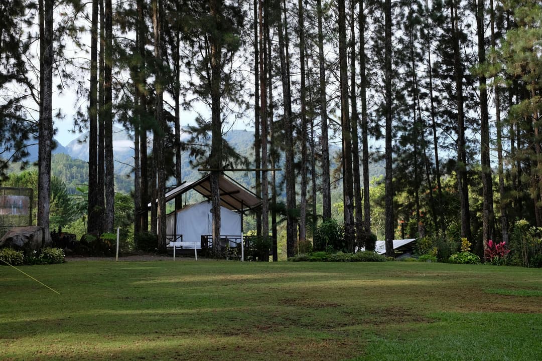 Ghid eco-camping: cele mai sustenabile locuri de tabără