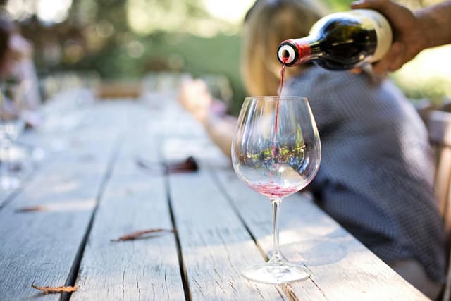 Degustări de vin la podgorii din Dealu Mare
