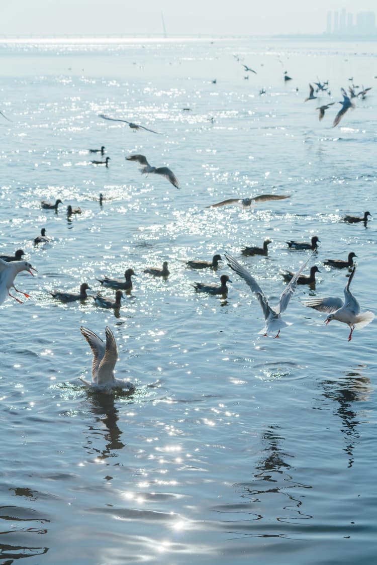 Somn sub cerul liber: vise mai mari și păsări matinale garantate
