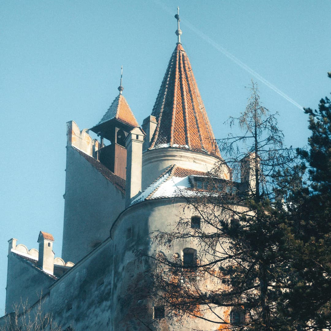 La Bran, fără mușcături: strategii de ferit de vampiri