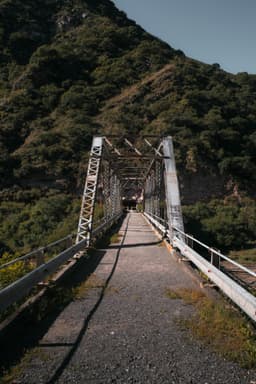 Aventură în Munții Baiului: trasee și peisaje de poveste