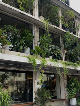 Grădini urbane verticale: oază verde în betoane