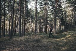 O zi cu frunze în păr: aventuri ușoare pe poteci primăvăratice