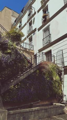 Safari urban în Nairobi: cum să simți viața orașului