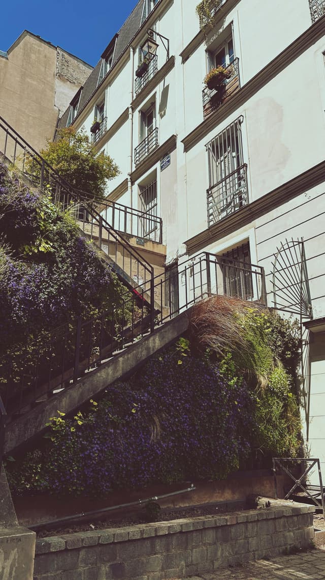 Safari urban în Nairobi: cum să simți viața orașului