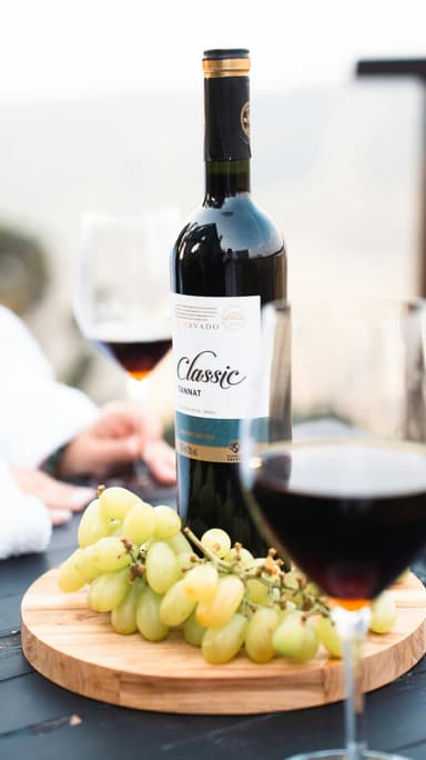 Drumeție + degustare de vin la vie în Moldova