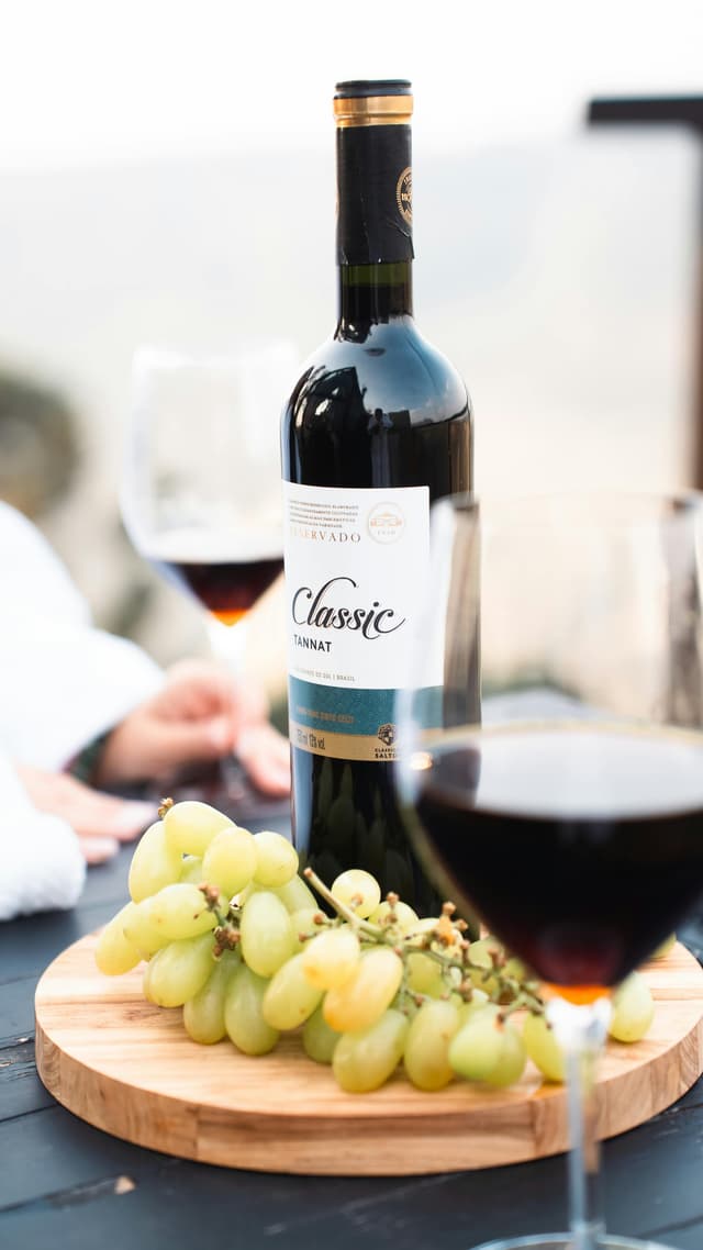 Drumeție + degustare de vin la vie în Moldova
