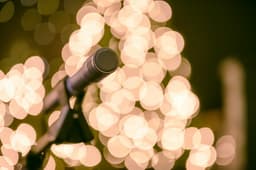 Golden Microphone: unde karaoke e religie locală
