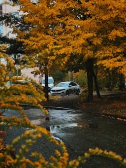 Zi de ploaie pe drum – ce-am descoperit sub picături