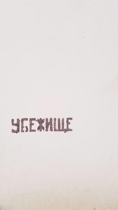 Graffiti cu mesaj: explorare urbană cu sens