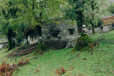 Călătorii sustenabile: cum să fii turist eco-friendly