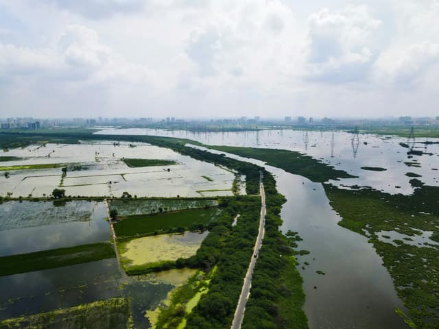Descoperă Delta Văcărești – o insulă urbană